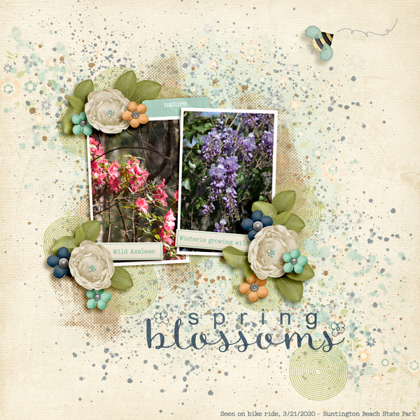 Spring Blossoms