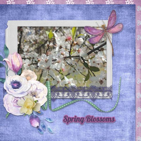 Spring Blossoms