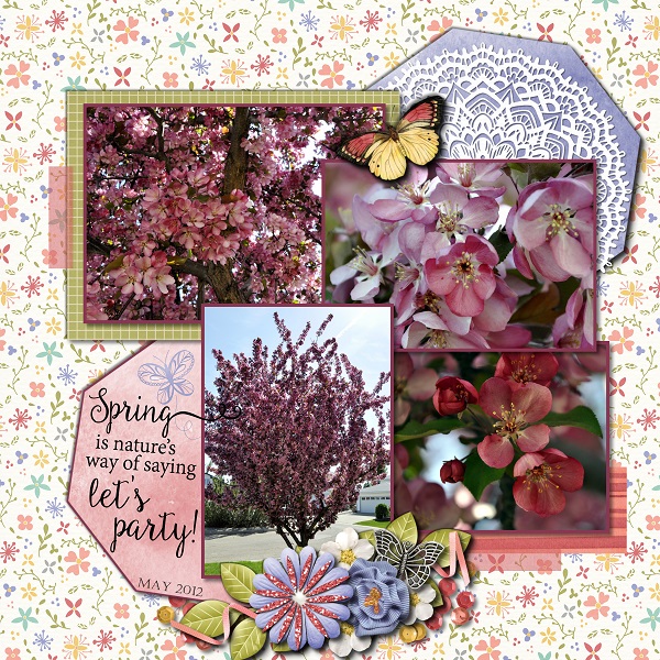 Spring Blossoms