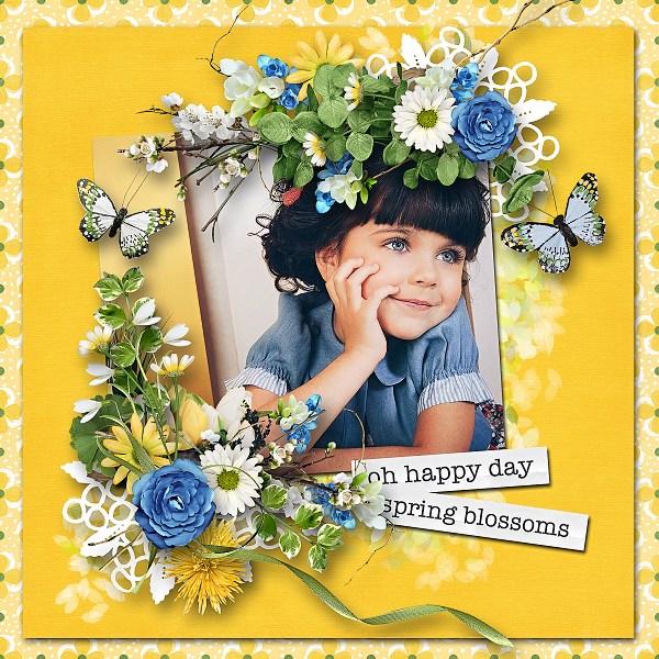 Spring Blossoms