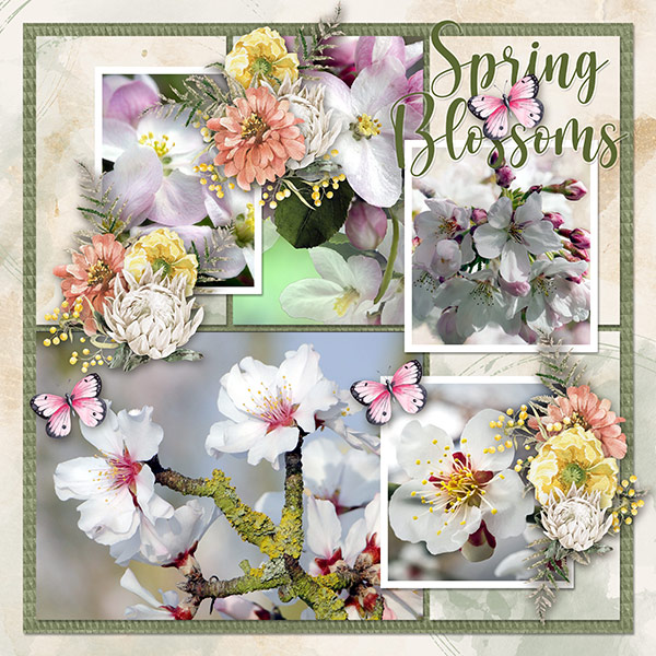 Spring Blossoms