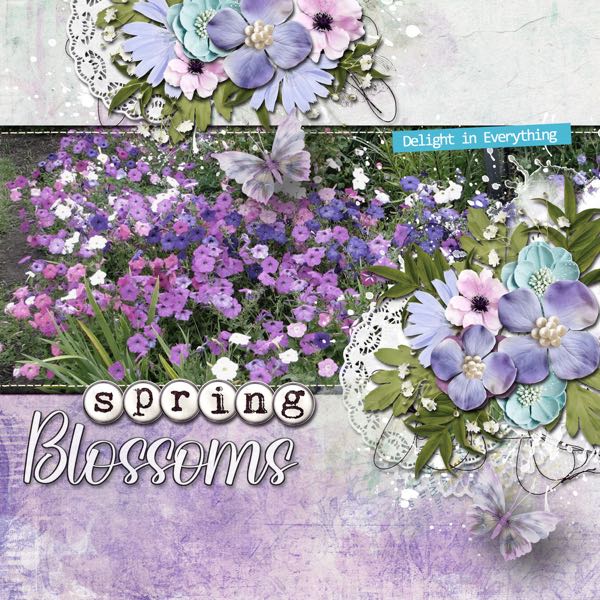 Spring Blossoms