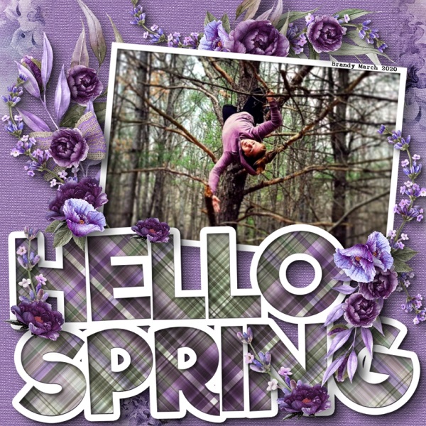 Spring Brandy