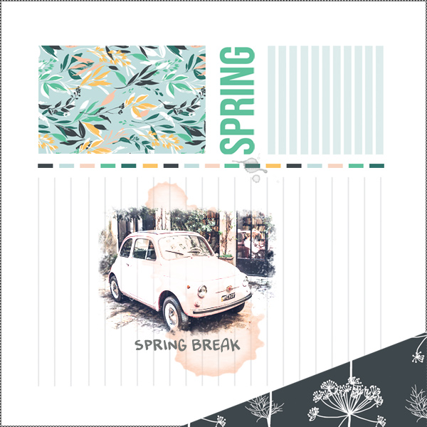 spring break