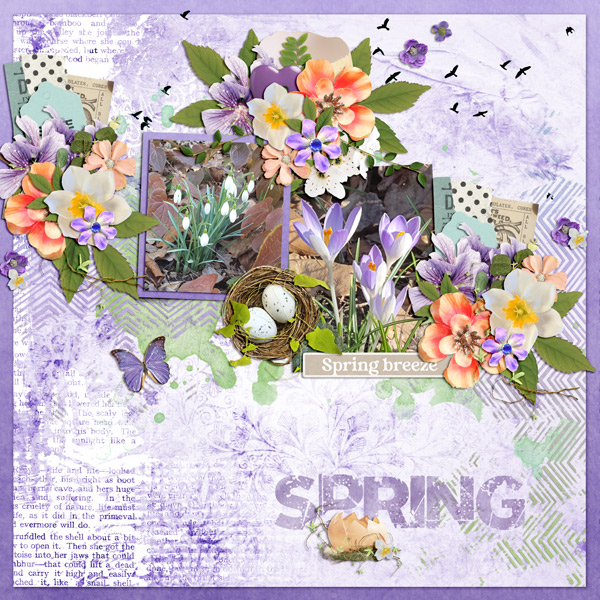 spring breeze