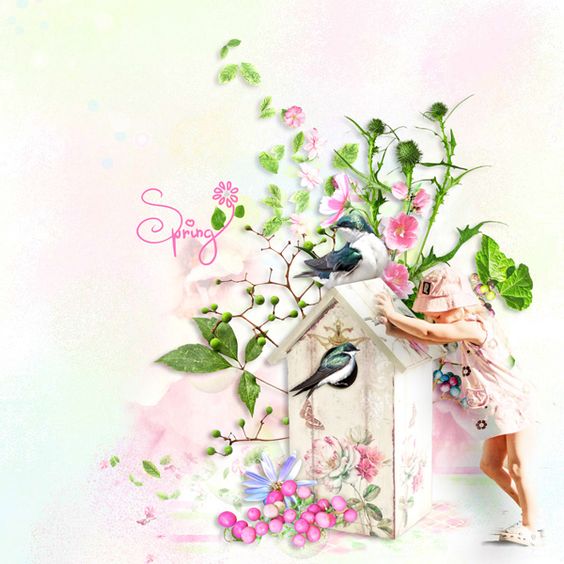 Spring Brightness