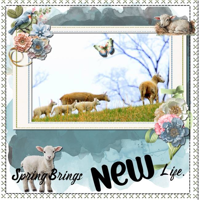 Spring Brings New Life