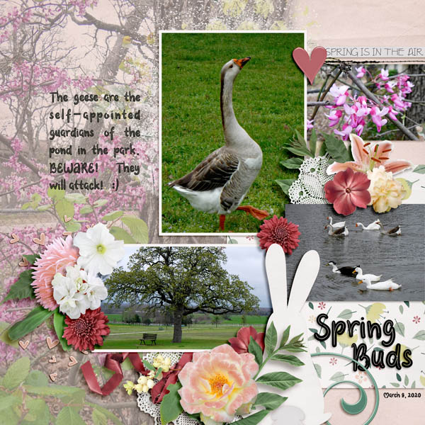 Spring Buds
