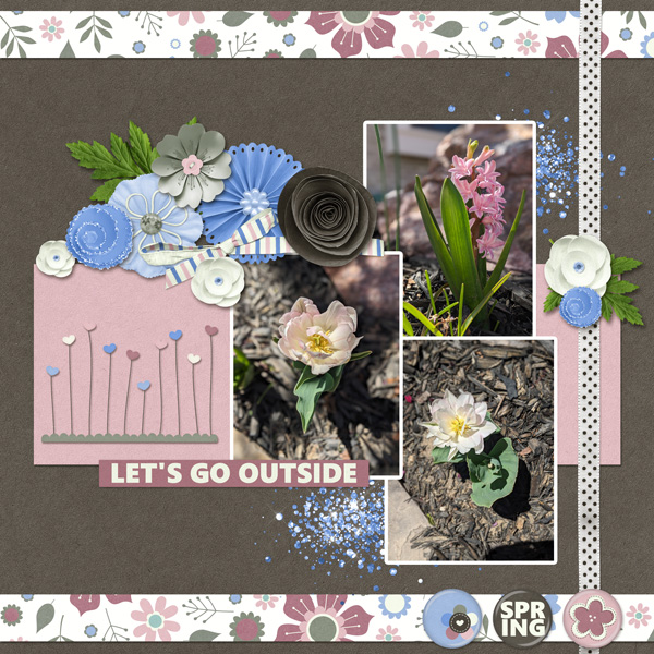 Spring Bulbs