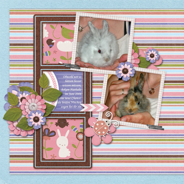 Spring Bunnies