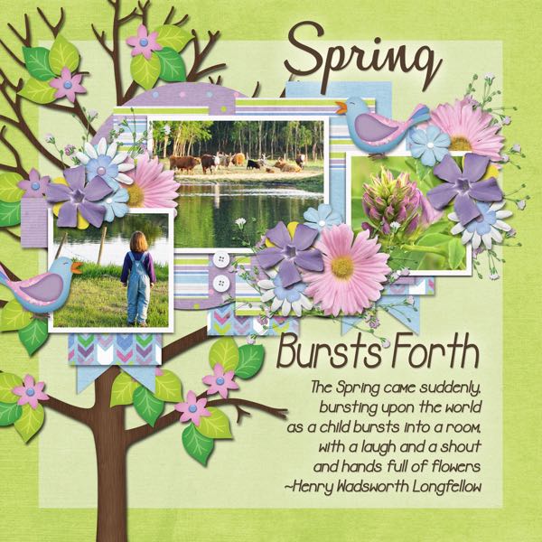 Spring Bursts Forth