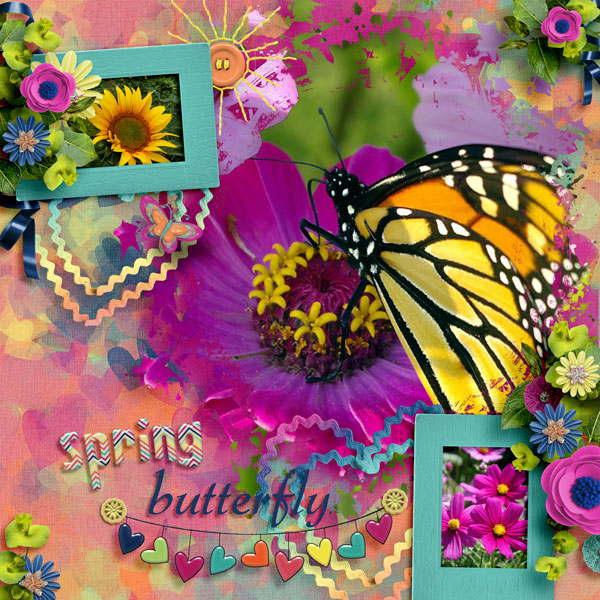 Spring Butterfly