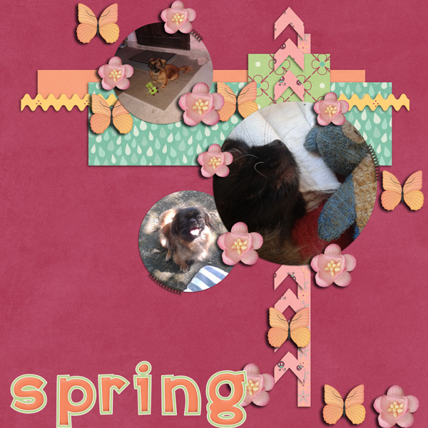 Spring by Sara