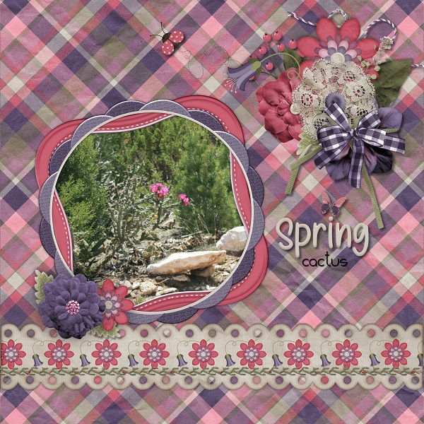 Spring Cactus