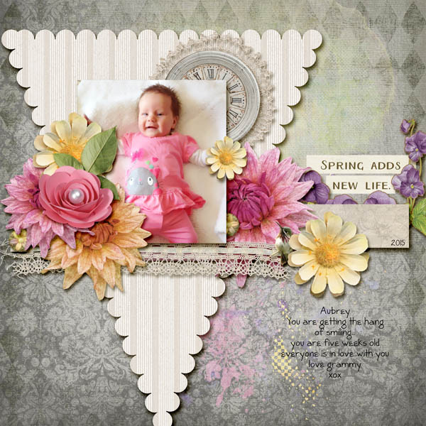Spring Chick