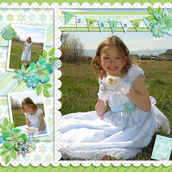 Spring Chick