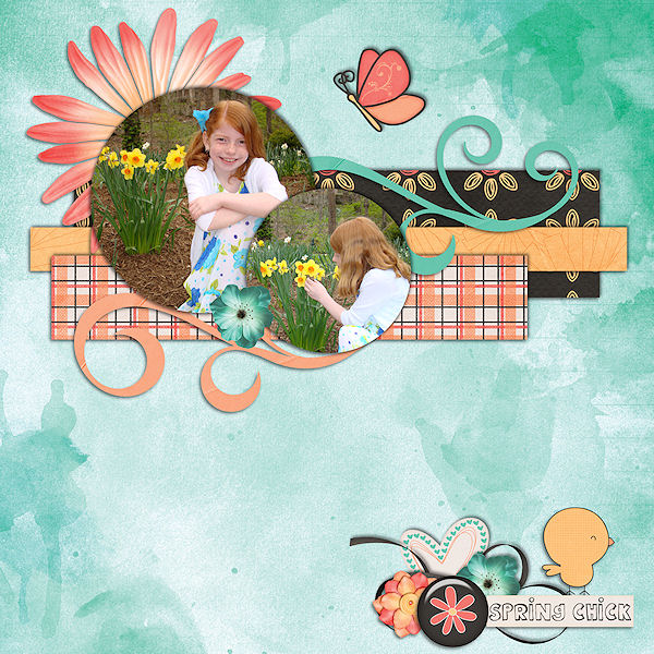 Spring Chick