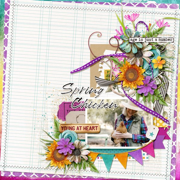 Spring Chicken
