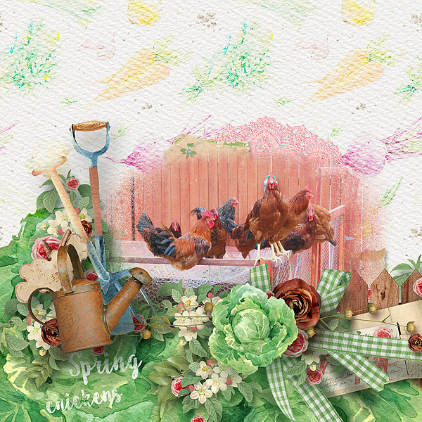 Spring Chickens