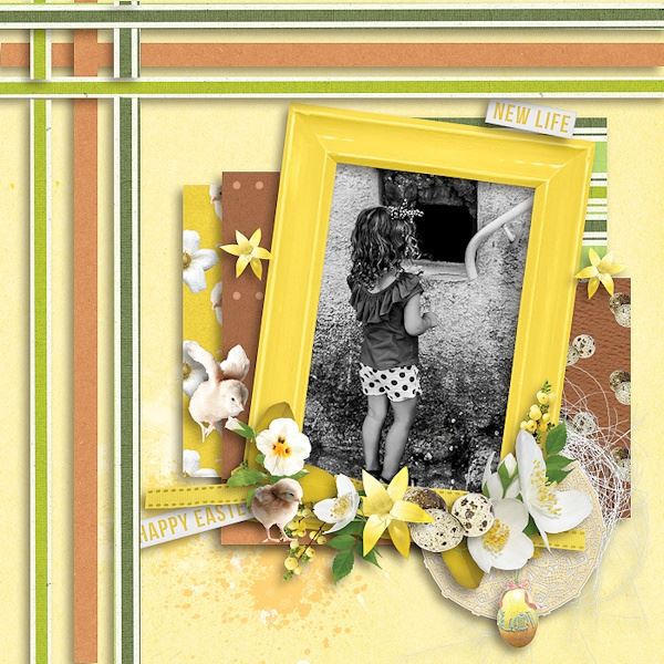 Spring Chickens