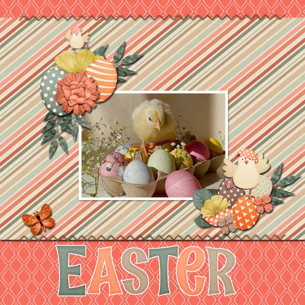 spring-chicks-SCR-SunnyDay-.jpg