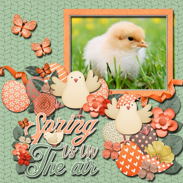 Spring Chicks