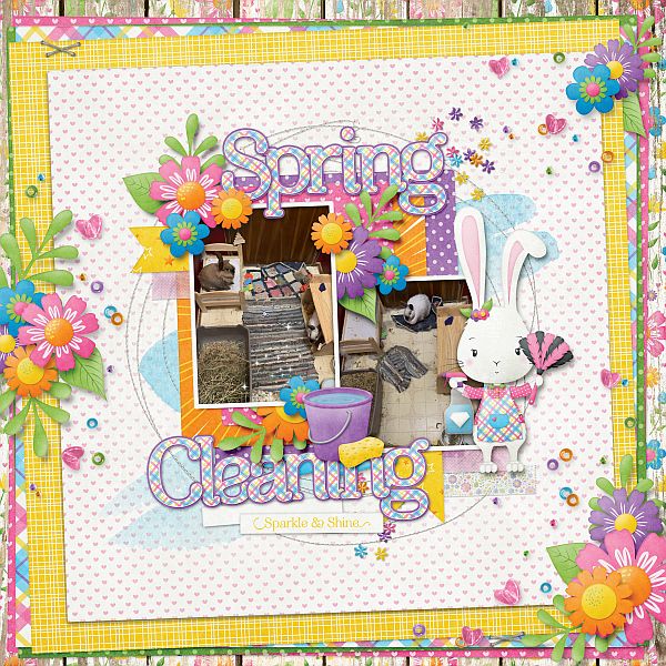 Spring Cleaning