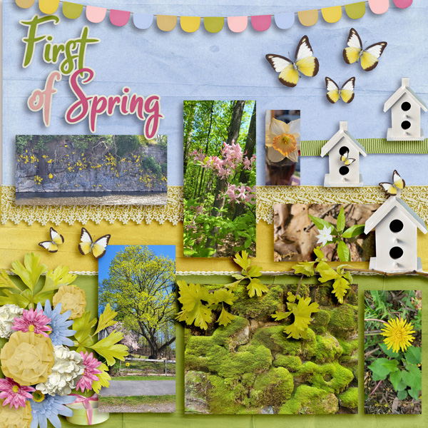 SPRING-COLOR-MAR24