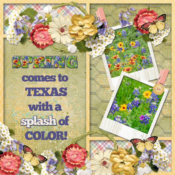 SPRING comes to Texas in a splash of color