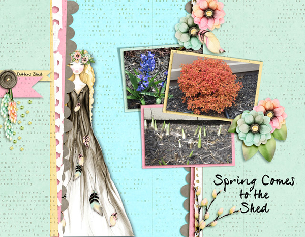 Spring Comes to the Shed