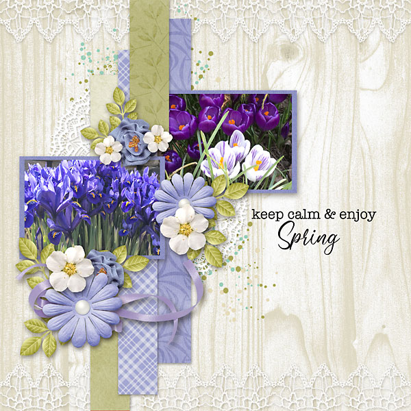 Spring-copy3
