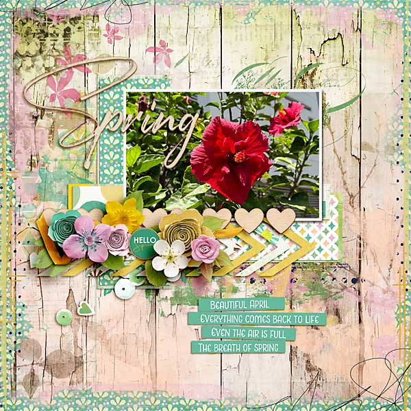 spring-copy6