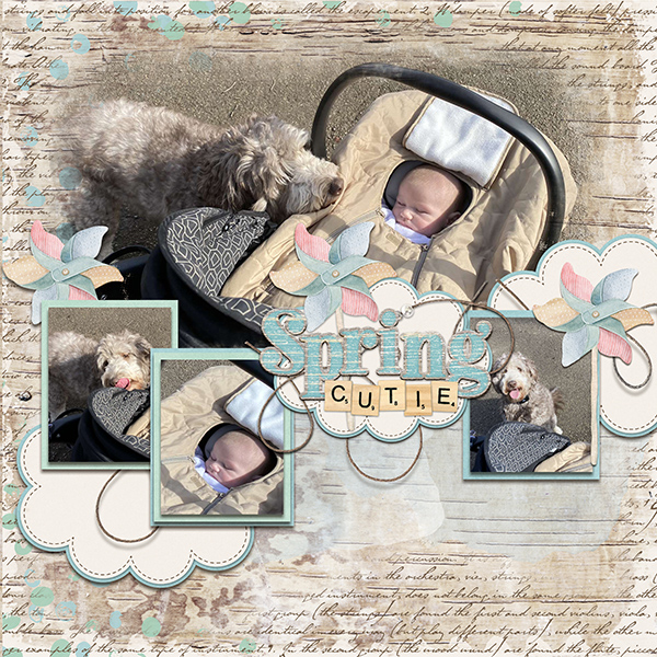 Spring Cutie