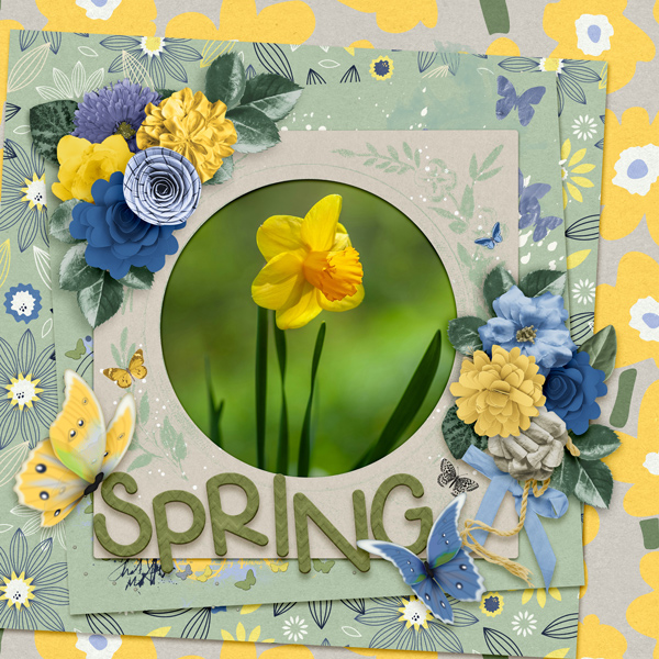 Spring Daffodil