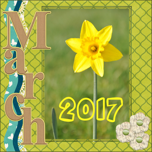 Spring Daffs, March 2017