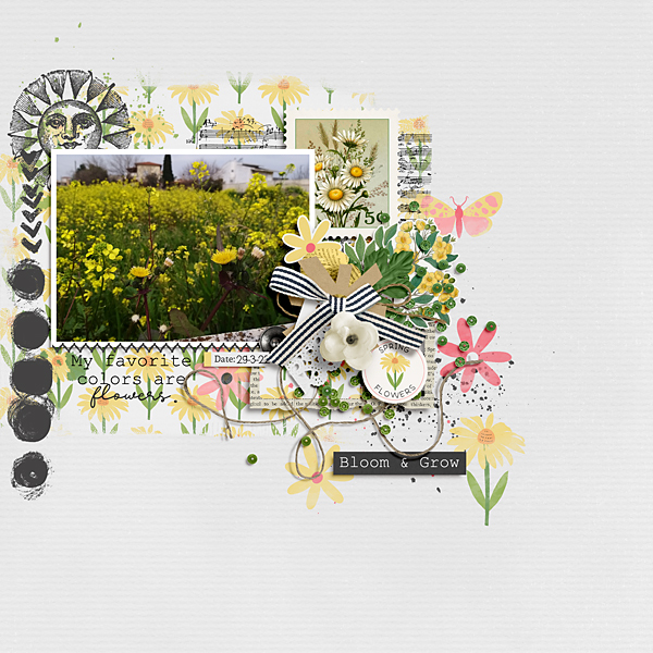 Spring Daisies