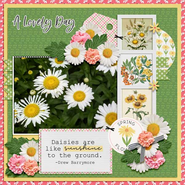 Spring Daisies