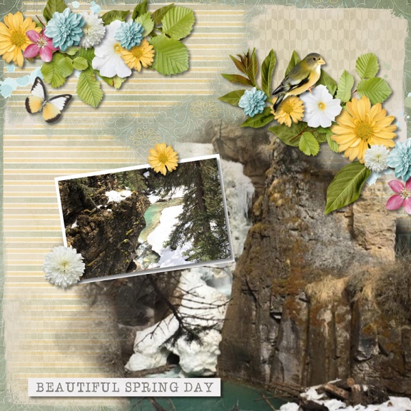 Spring Day