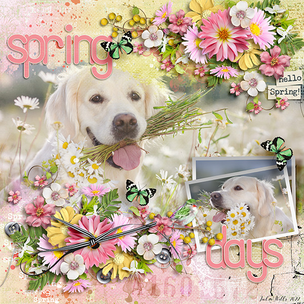 spring days