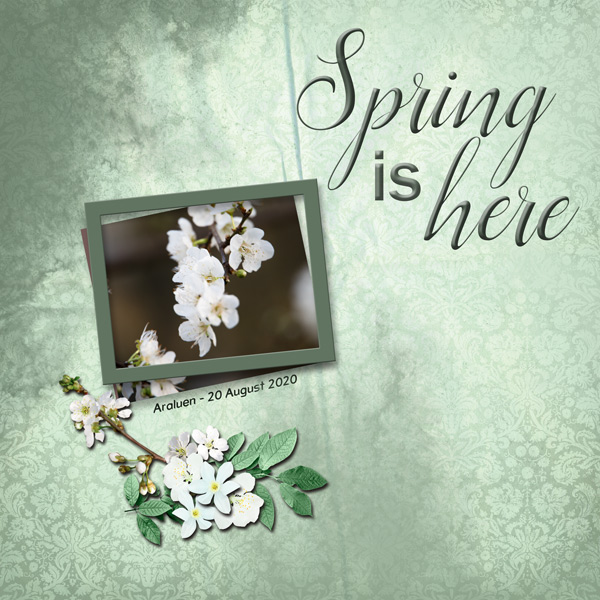 Spring DownUnder
