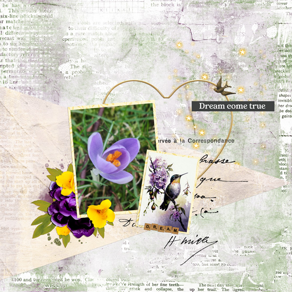 spring dream