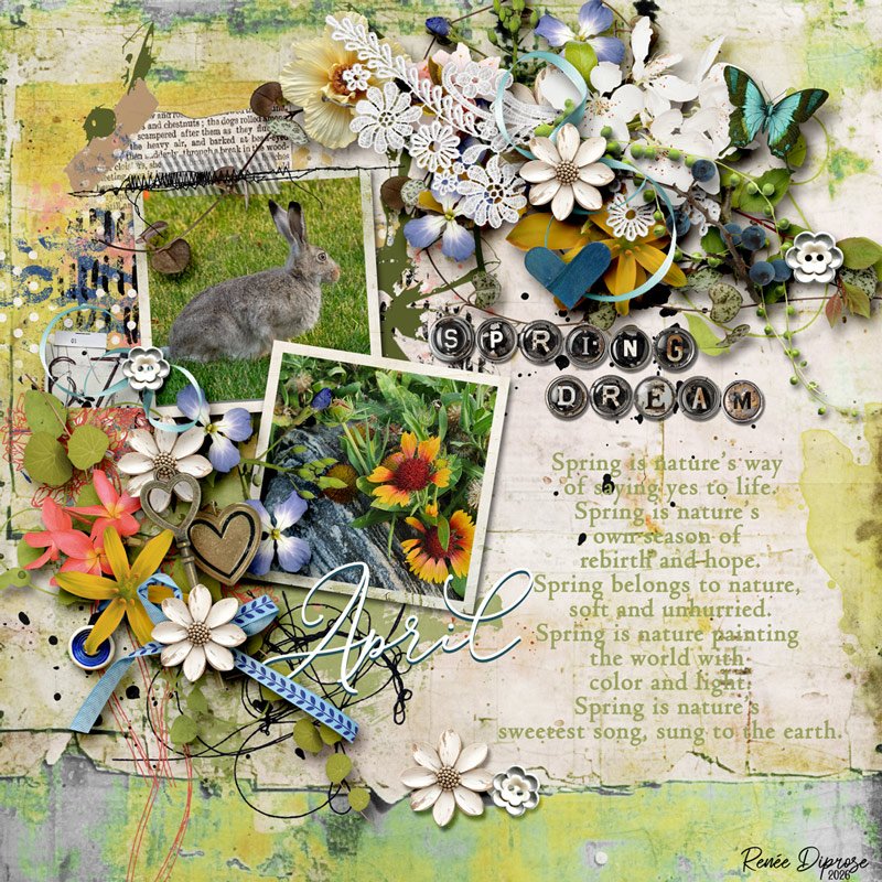 Spring Dream