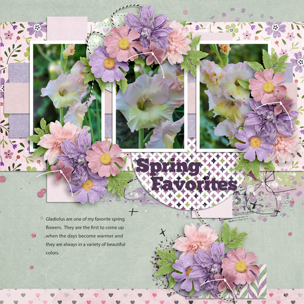 Spring Favorites