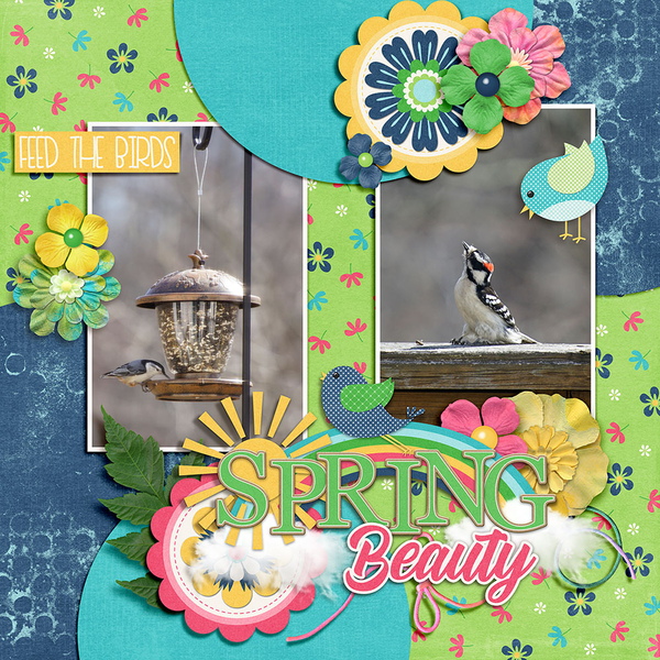 Spring Feeding