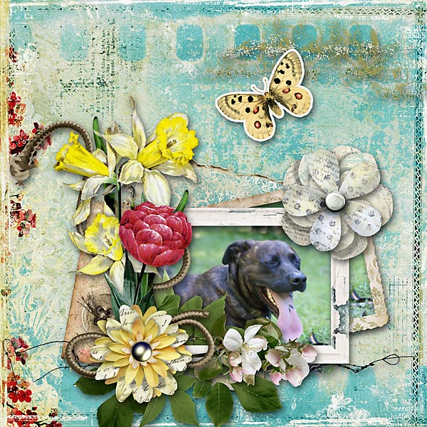 Spring Feelings