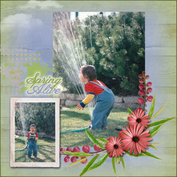 Spring Fever