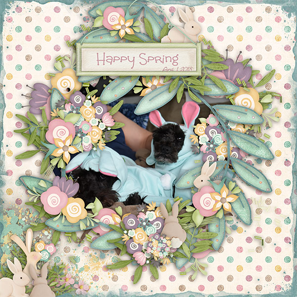 Spring Fever