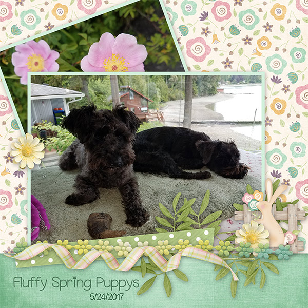 Spring Fever