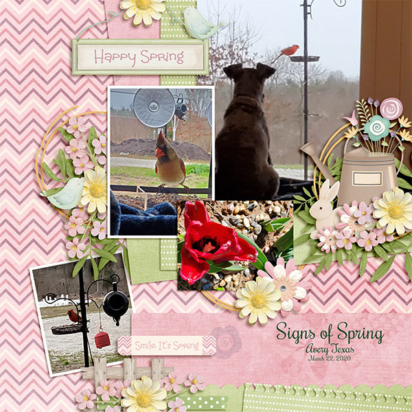 Spring Fever