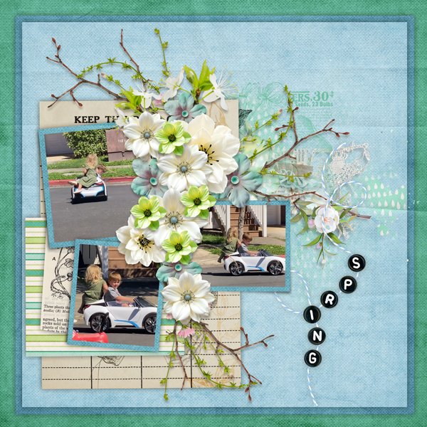 Spring Fling-CarolW 2.jpg